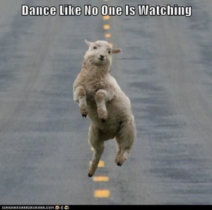 sheep dance