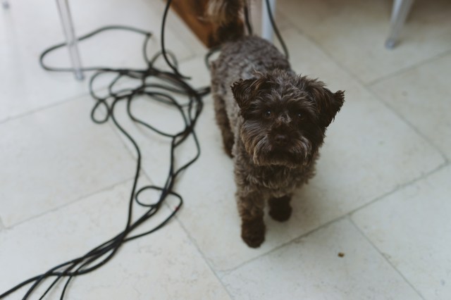 Claire and Charles-12.jpg